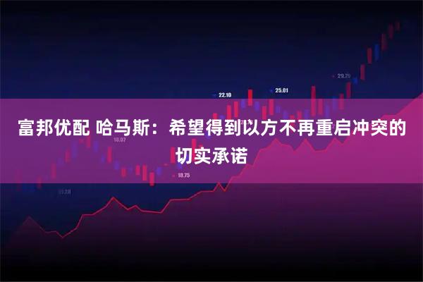 富邦优配 哈马斯：希望得到以方不再重启冲突的切实承诺