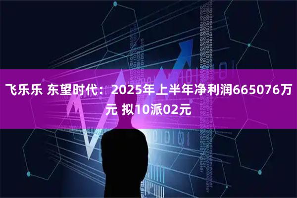 飞乐乐 东望时代：2025年上半年净利润665076万元 拟10派02元