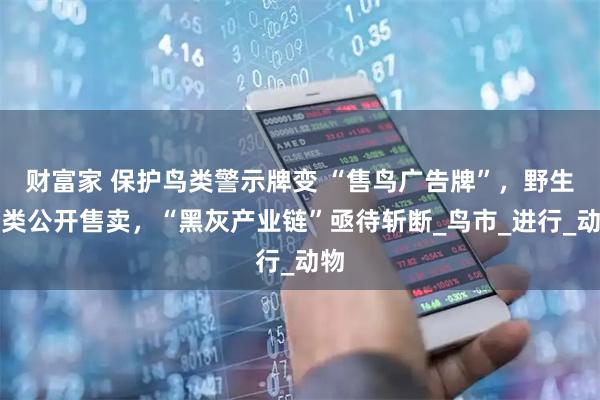 财富家 保护鸟类警示牌变 “售鸟广告牌”，野生鸟类公开售卖，“黑灰产业链”亟待斩断_鸟市_进行_动物